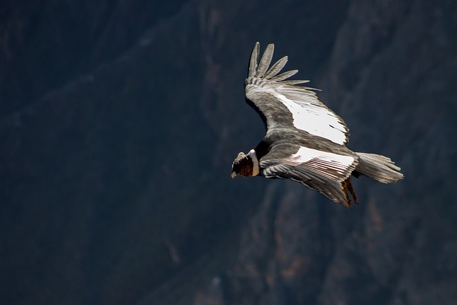 What Roundtrips Actually Looked Like on Google — Condor business class flights