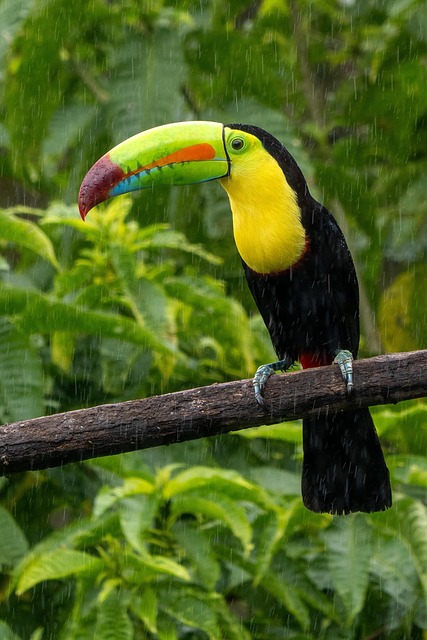 The evidence you must gather first — Costa Rica dry season award flights