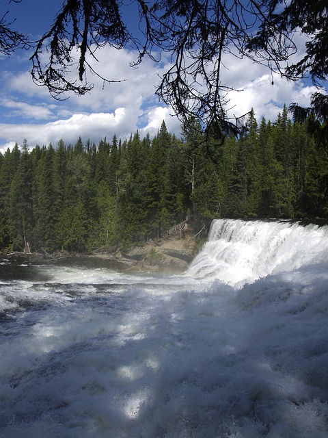 What the Sources Do Not Prove — Dawson City Sourtoe Cocktail trip
