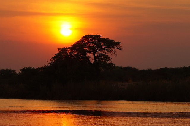 sunset river silhouettes trees tree silhouettes nature sun dusk twilight sunlight orange sky woods scenery scenic countr