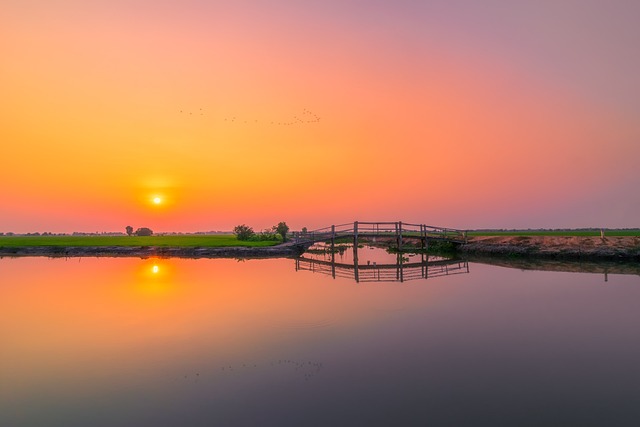 sunset tayninh vietnam countryside sky lake peaceful country landscape field tree nature clouds green summer spring rive