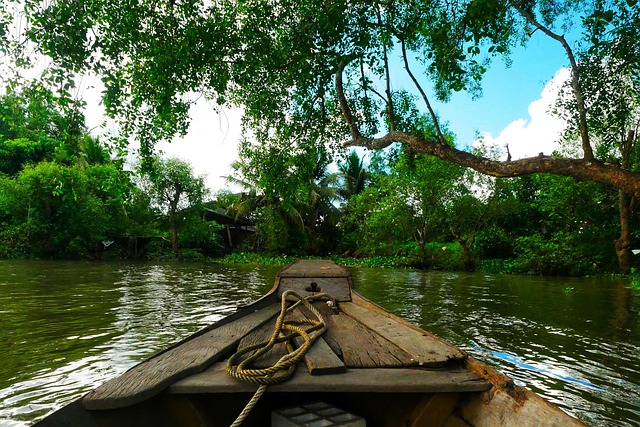 canoe rope wooden bamboo green vietnam landscape sky cloud calm alone nature mangrove delta mangrove mangrove mangrove m