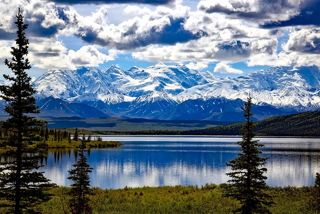 Insider Tactics — Denali Park Road 2026