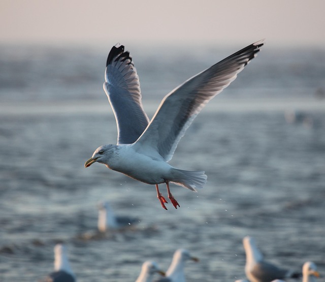 Common Mistakes — Denmark Flights