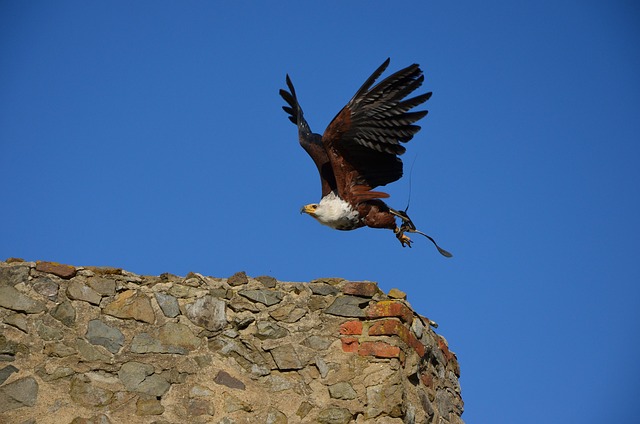 Break-Even Math: When Buys You Nothing — Eagle Rock to LAX