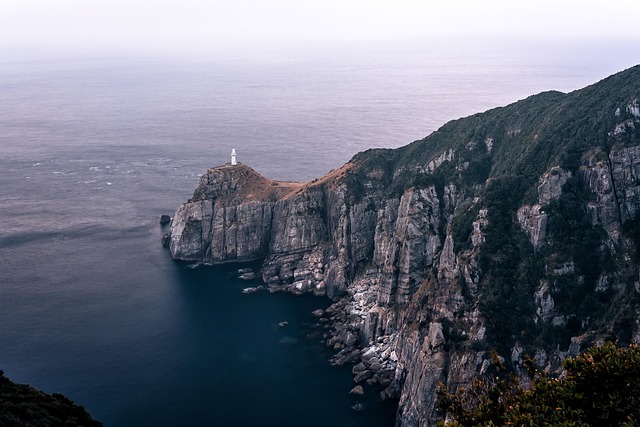 Costs of Booking Too Early or Late — East Coast National Parks