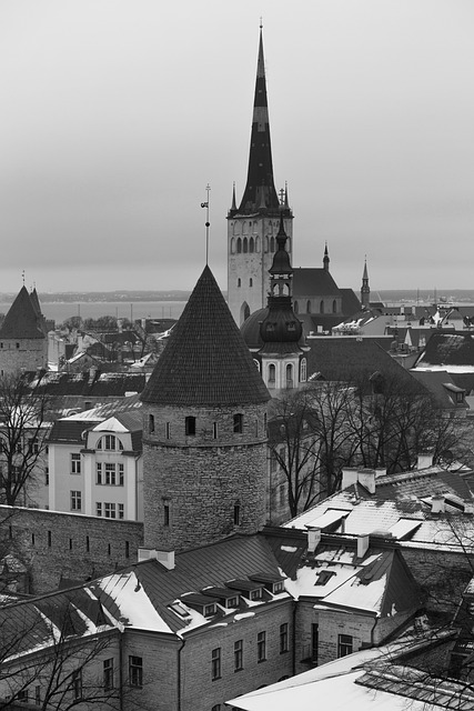 Key Factors to Consider — Estonia State Lessor Liquidation by 3Q27