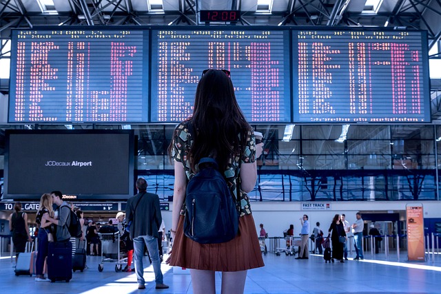 airport woman flight boarding traveling tourist trip departure arrival terminal airport airport airport airport airport