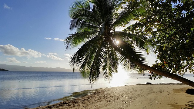 Miles or Cash — Fiji Airways oneworld
