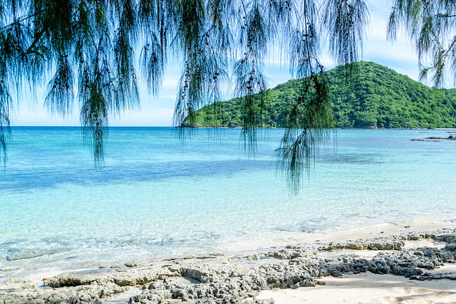 Common Mistakes — Fiji Tourism Tax 2026