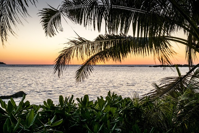 Insider Tactics — Fiji Tourism Tax 2026