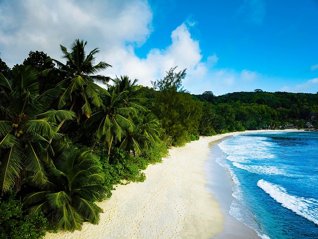 Common Mistakes — Fiji Tourism Tax 2026