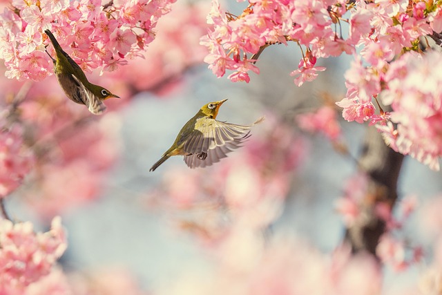 Make It Explicit — Flights to Japan