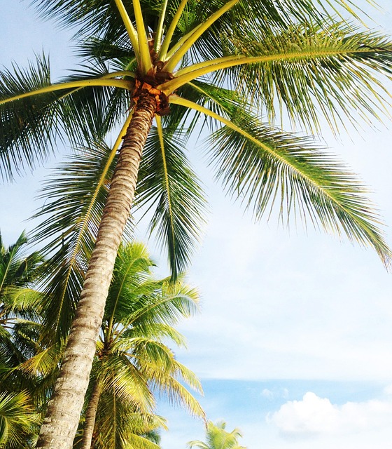 Insider Tactics — Florida Beach Hotels Winter