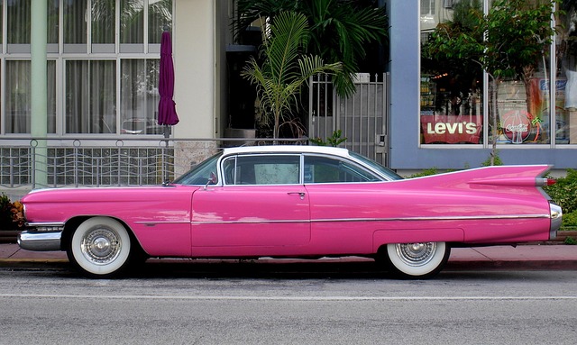 Key Factors to Consider — Floridas Pink Palace Was Built on