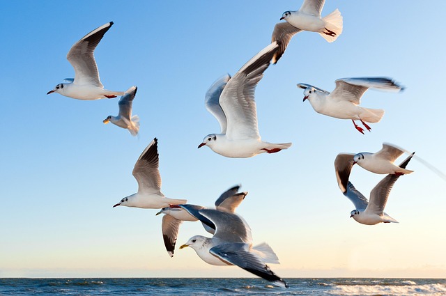 Insider Tactics — Flying Blue Promo Awards