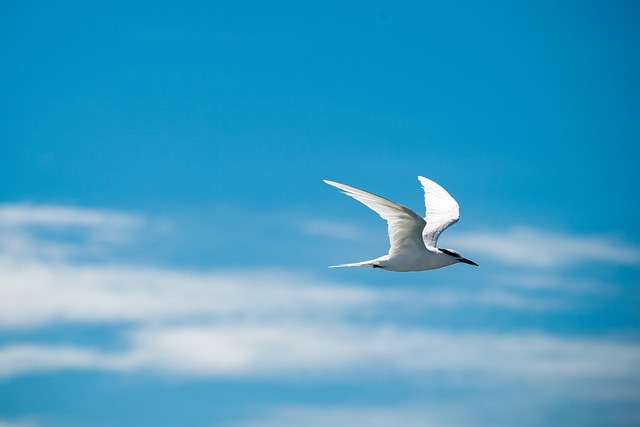Common Mistakes — Flying Blue Promo Rewards 2026