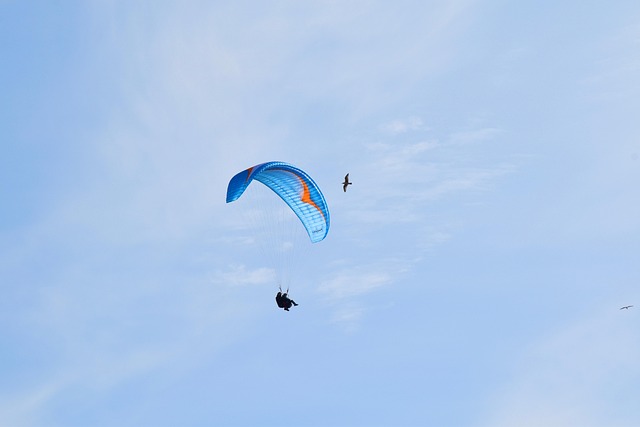 Insider Tactics — Greece August 2026 Flights