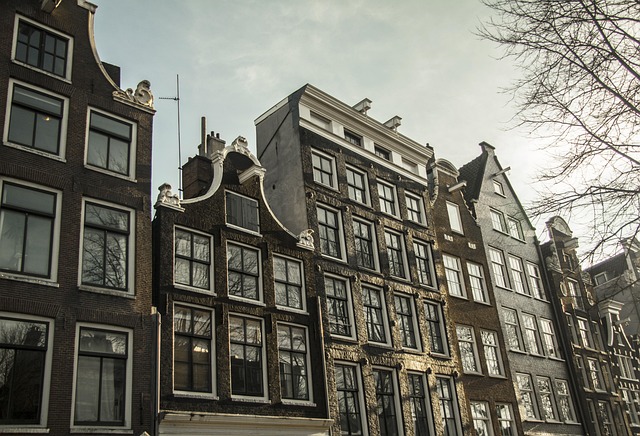 Halifax to Amsterdam 9 Winner — Halifax to Amsterdam Flights