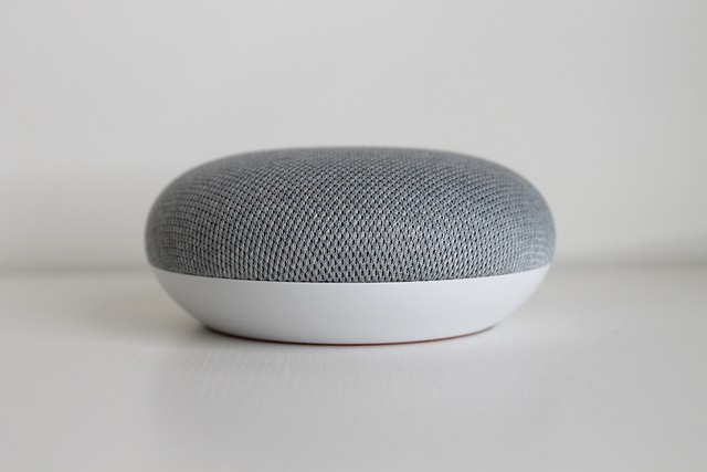 google home google google home mini assistant speech mini smart internet networks multimedia gadget smart assistant comm