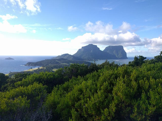 ocean mountain nature bush scenic New South Wales Lord Howe Island Australia