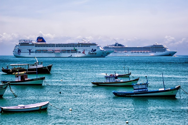 What the Evidence Does Not Establish — How to verify transatlantic business-class error