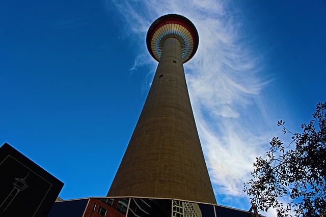 Key Factors to Consider — I Thought the Calgary Stampede Was
