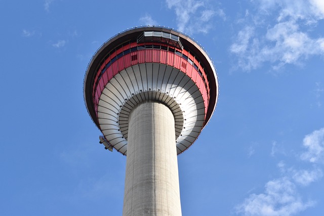 Insider Tactics — I Thought the Calgary Stampede Was