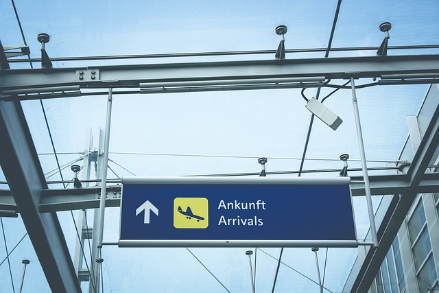 The 2025 Ledger — International Air Fares
