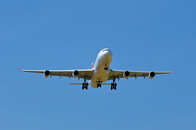 What the 2025 Data Doesn't Tell You — International Air Fares