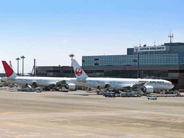 330-Day vs 14-Day Showdown — Japan Airlines Business Class