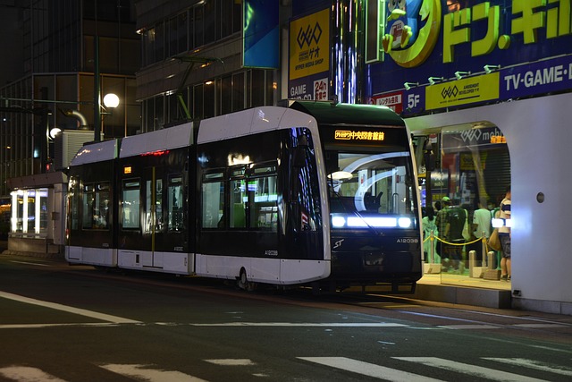 What the evidence does not establish — Japan Rail Pass Price Hike