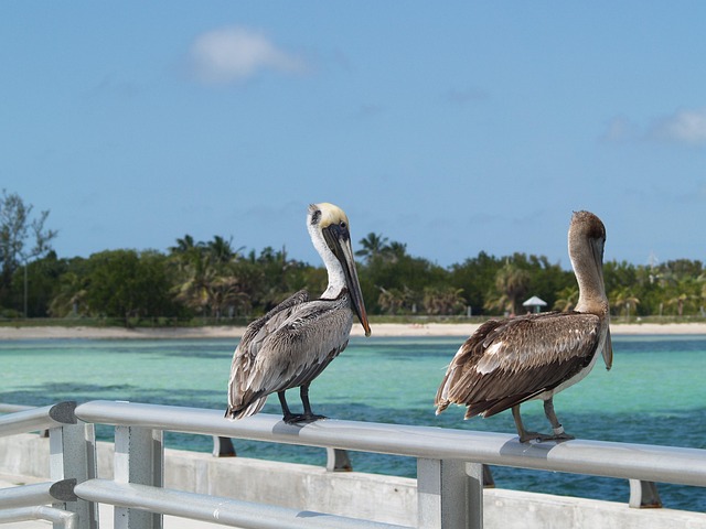 DEN to Duval Worked — Key West flights 2026 cost