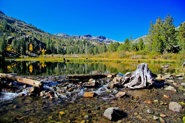 SFO Scorecard — Lake Tahoe 2026 airfare