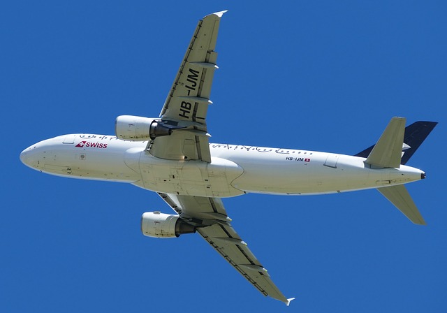 What the Data Doesn't Tell You — LAX 2026