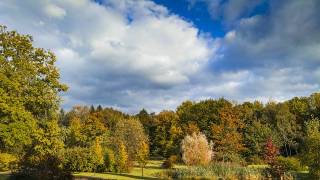 park autumn in the fall oct