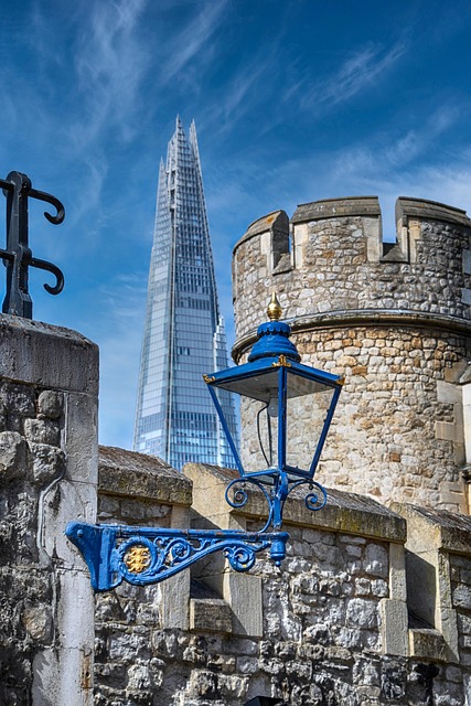 What the evidence does NOT establish — London New York premium economy