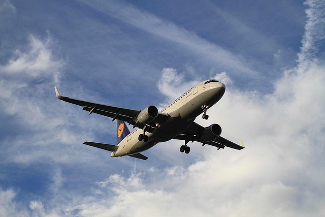 lufthansa airbus nature sky airline company