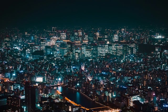 What the Evidence Does Not Establish — Lufthansa Tokyo Flights