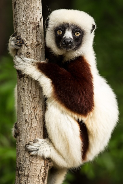 What the Data Doesn't Tell You — Madagascar Business Class Flights 2026