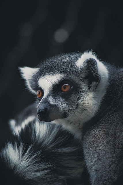 Cash vs Miles Scorecard — Madagascar Business Class Flights 2026