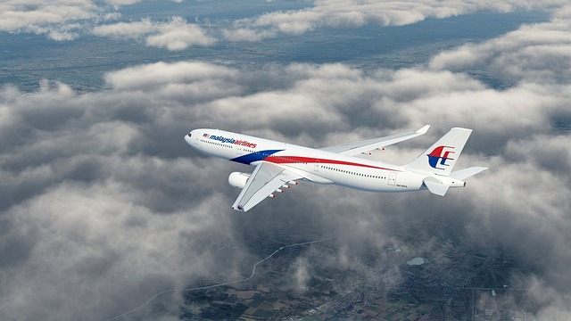 Options compared: book early vs wait — Malaysia Airlines India Fares