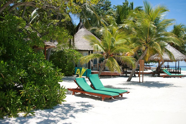 ORD to MLE Nov 10-18 — Maldives Business Class Flights