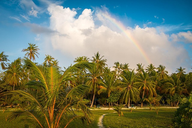 meeru island nature rainbow maldives