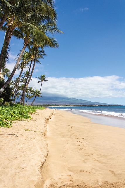 Insider Tactics — Maui 2026 Airfare