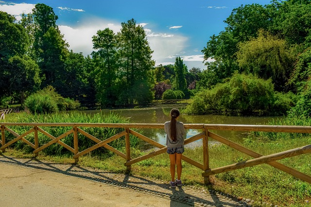 A Return — Milan to Lake Como Costs