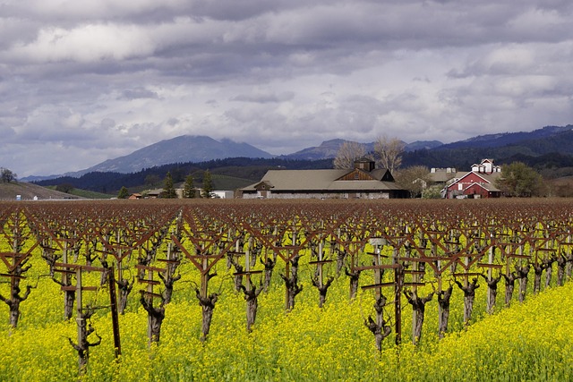 Options compared: cash vs points vs third-party — Napa Valley under 0