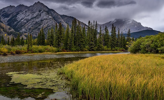 Common Mistakes — National Park Fees