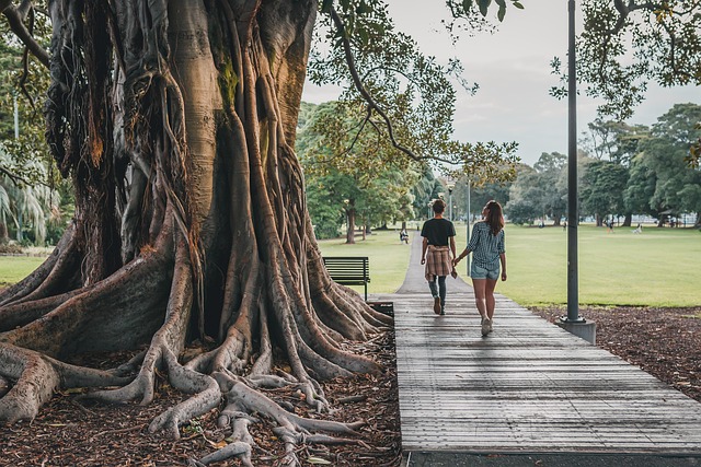 Key Factors to Consider — New Banyan hotels 2026