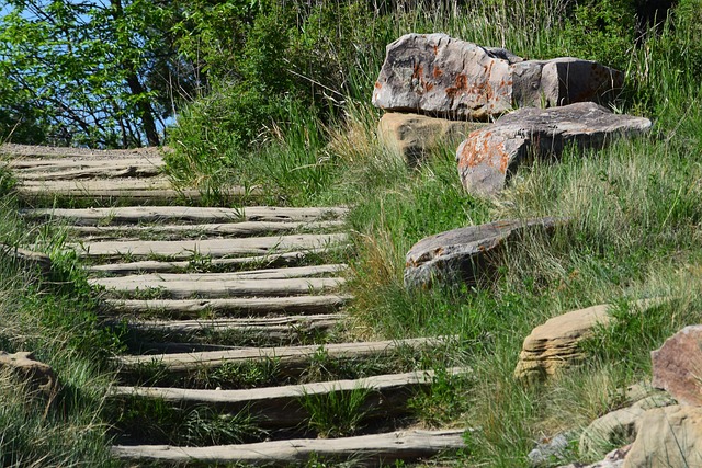 Common Mistakes — North Dakota Badlands 2026